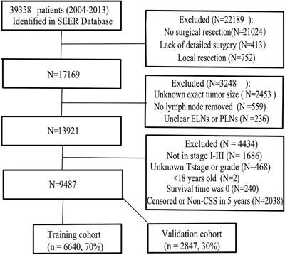 Development and validation of a clinical cure marker based on negative lymph nodes for gastric cancer after gastrectomy